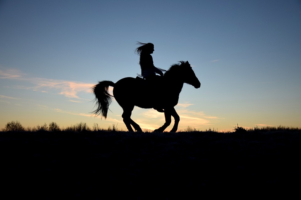 horse-silhouette