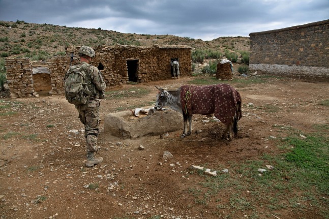 Soldier_With_Cow